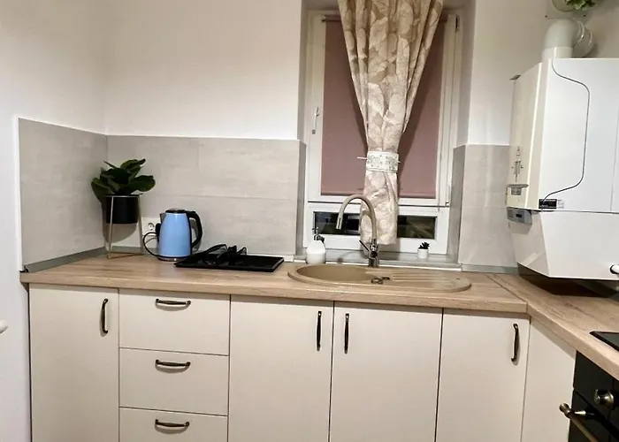 Adam's Place Apartment Brasov